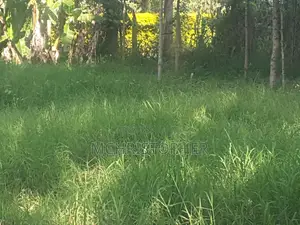 Lovely 1.2 Acre Land in Ngong