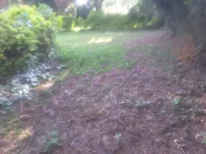 Lovely 1.2 Acre Land in Ngong