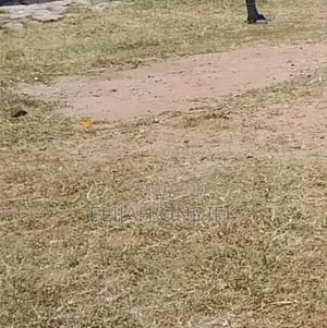 0.04HA at 780k Prime Plot at Chiga/Kibos Area