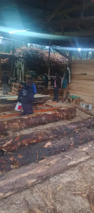 Resistant Timber