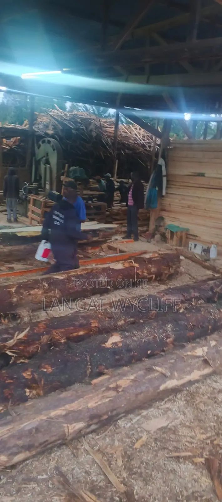 Resistant Timber