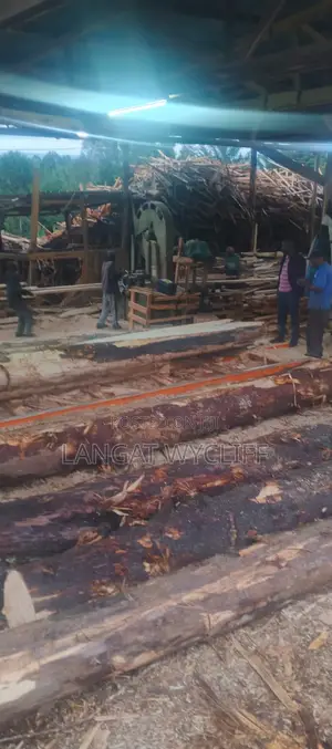 Load Bearing Wood