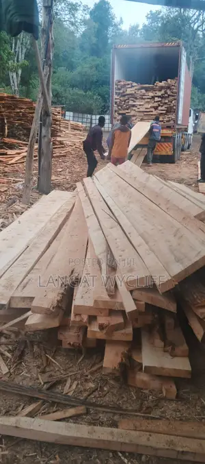 Well Seasoned Timber