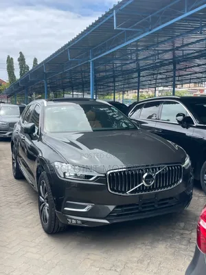 Volvo XC60 2020 Gray