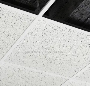 Modern Acoustic Ceiling Panels