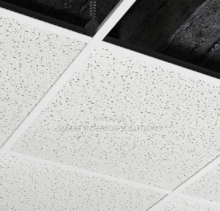 Modern Acoustic Ceiling Panels
