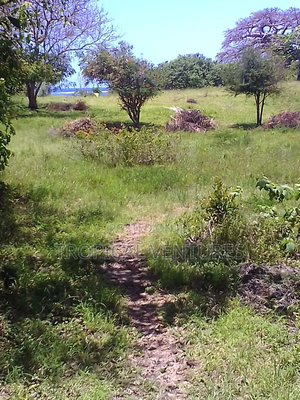 Beach Plot for Sale