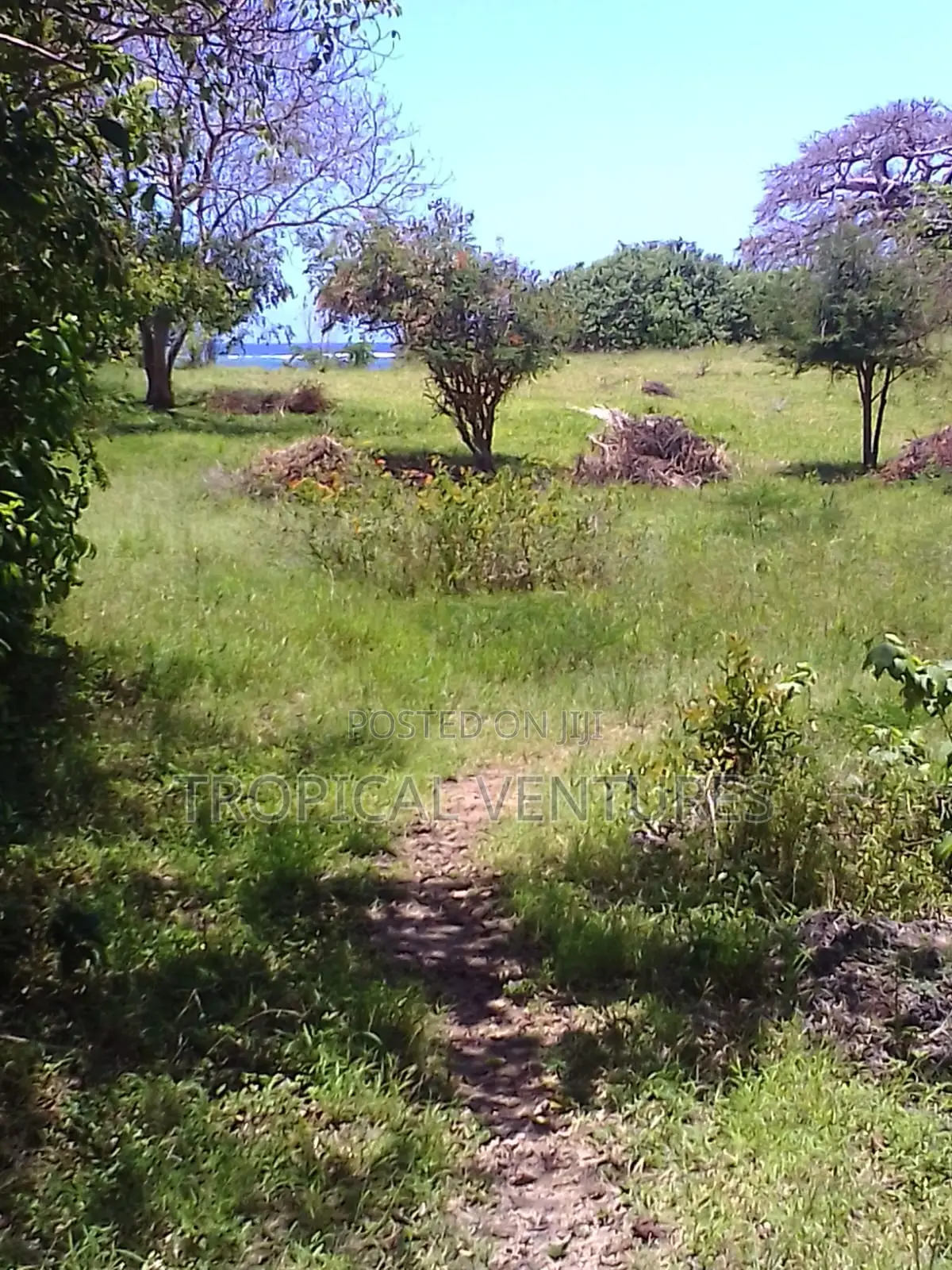 Beach Plot for Sale