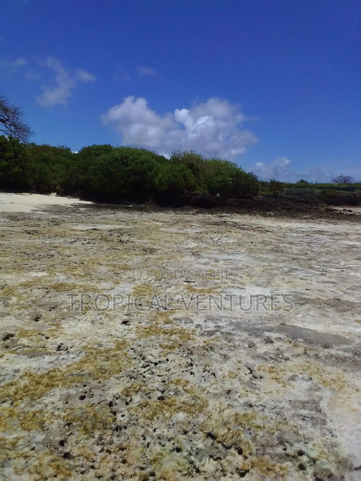 Beach Plot for Sale