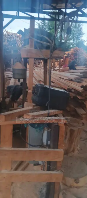 High Grade One Timber