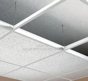 Modern Acoustic Ceiling Panels