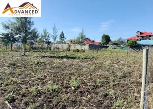 Tranquil Gardens - Ngata