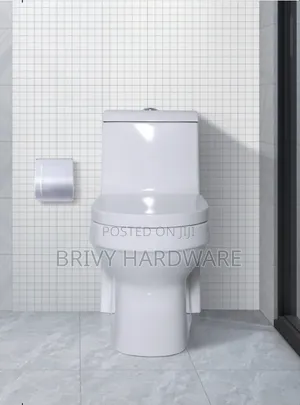 Frencia One Piece/Full Body Toilet (WC-8078)