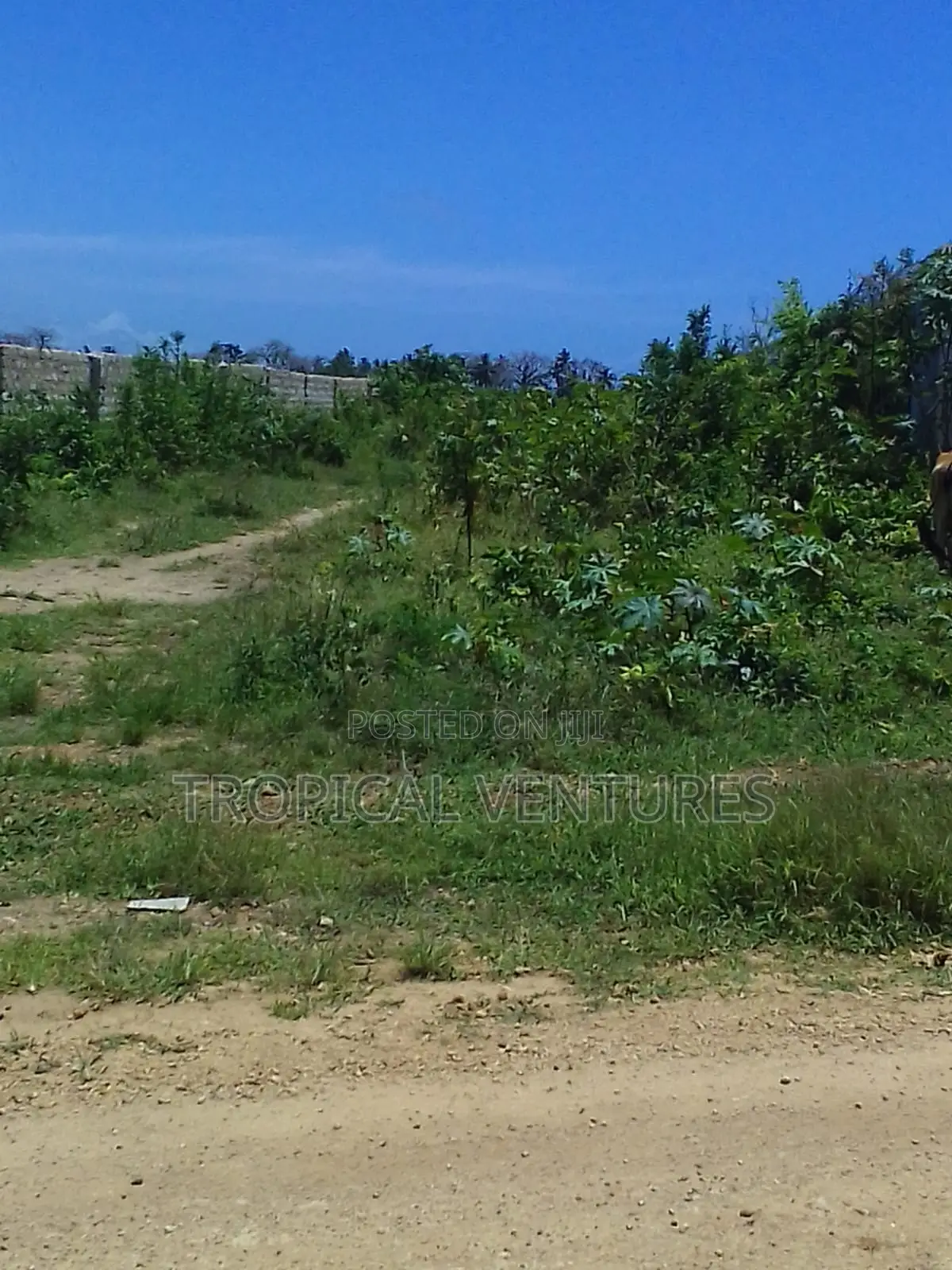 Beach Land for Sale Diani.