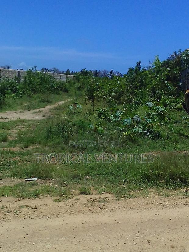Beach Land for Sale Diani. - thumbnail 6
