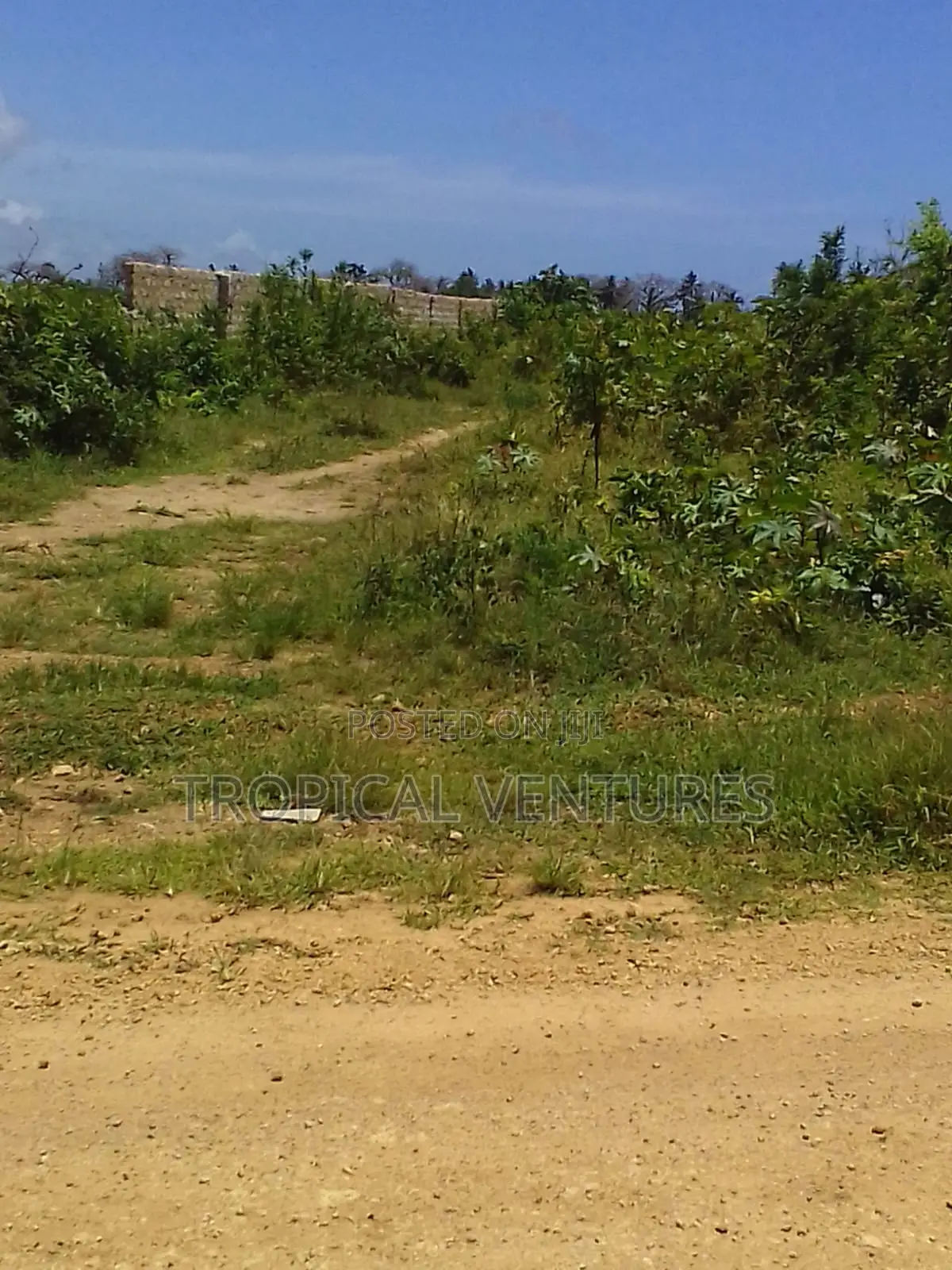 Beach Land for Sale Diani.