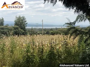 Prime 1/8 Acre Plot for Sale in Piave, Nakuru