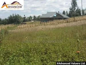 Prime 1/8 Acre Plot for Sale in Piave, Nakuru