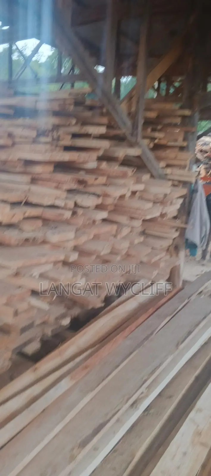Wood Cuts and Material