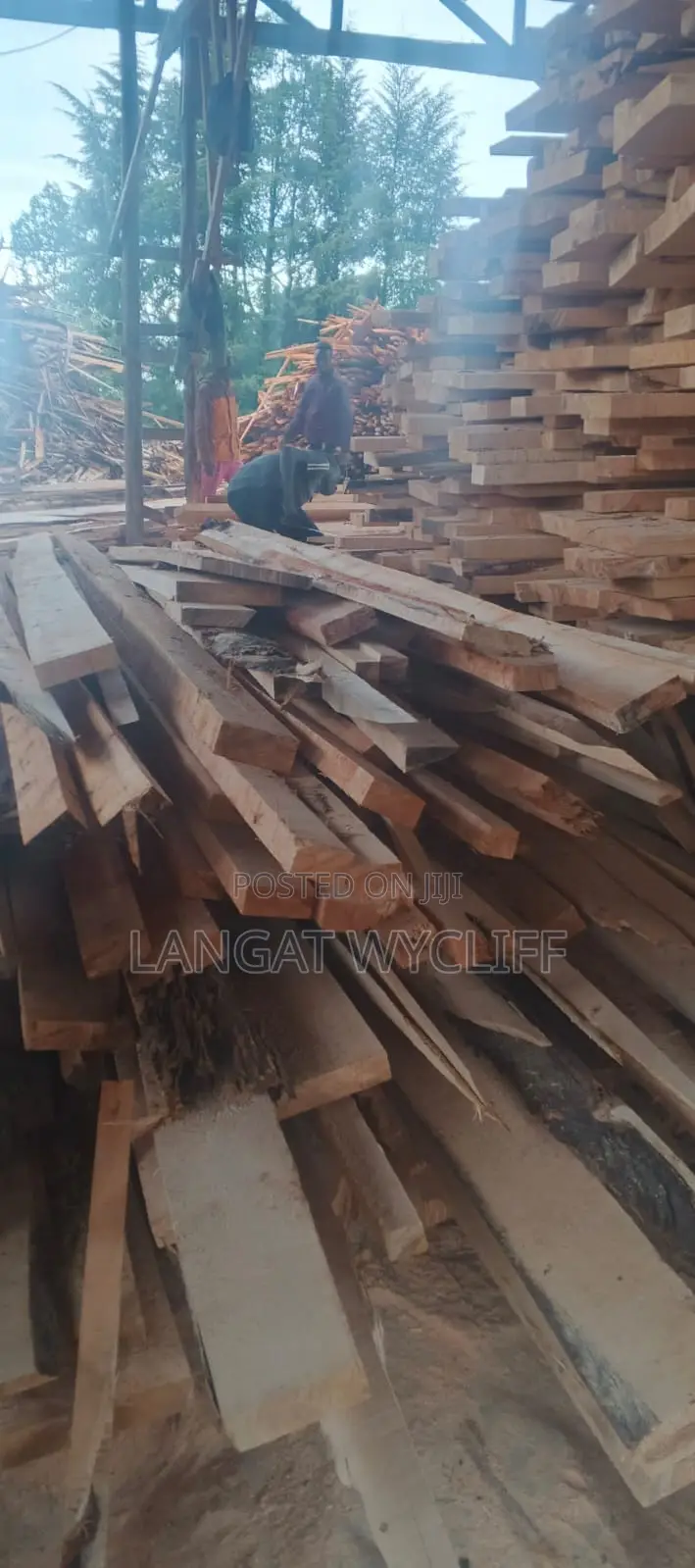 Wood Cuts and Material