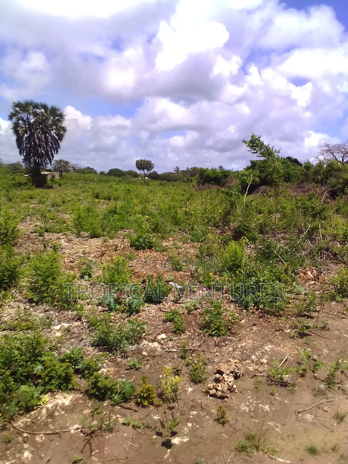 Beach Land for Sale Diani.