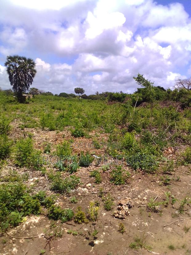 Beach Land for Sale Diani. - thumbnail 2