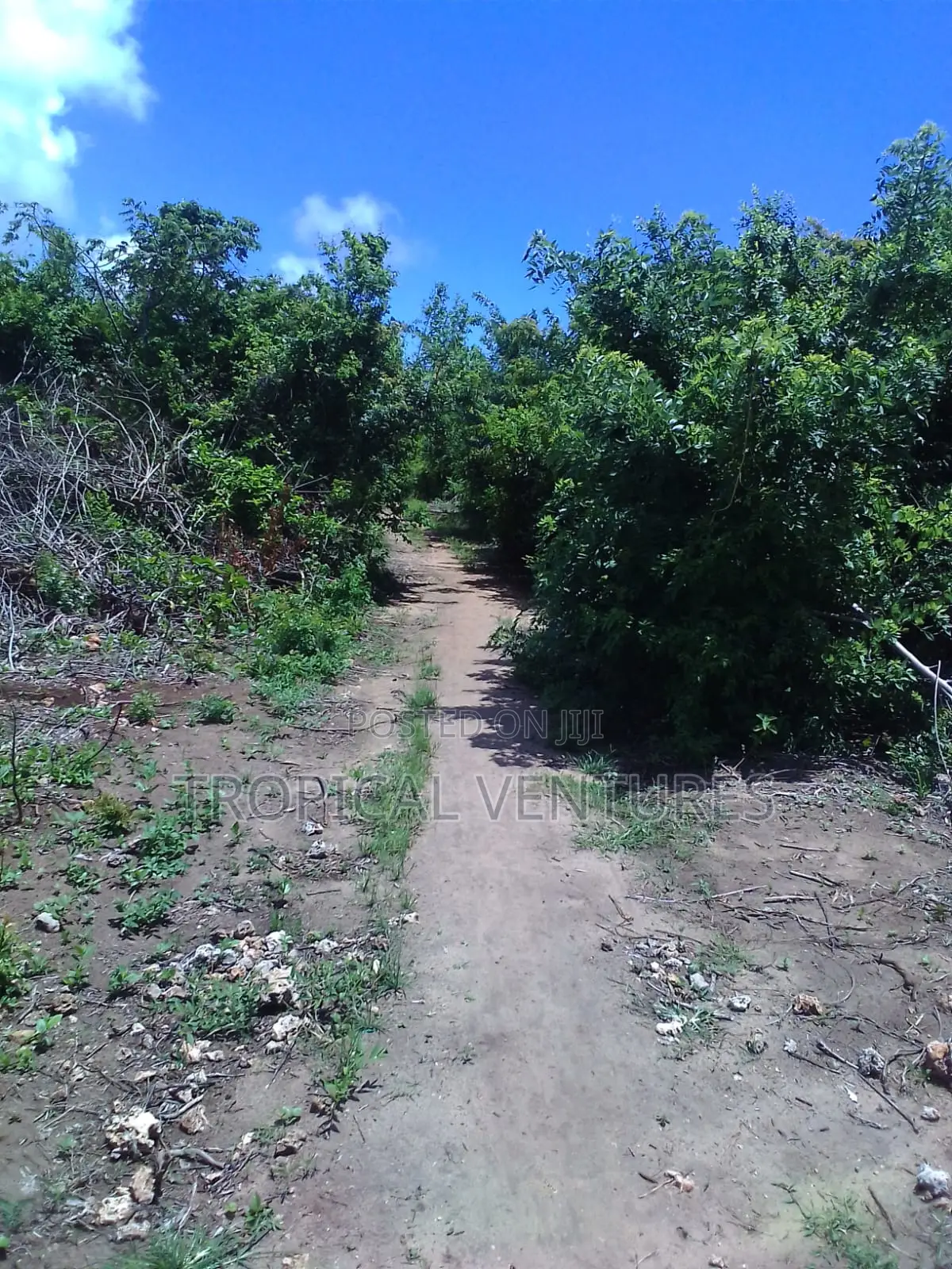 Beach Land for Sale Diani.