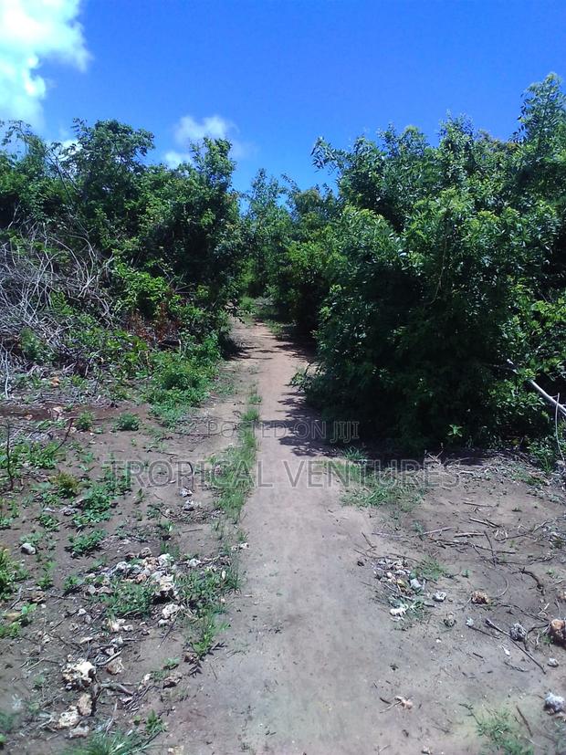 Beach Land for Sale Diani. - thumbnail 9