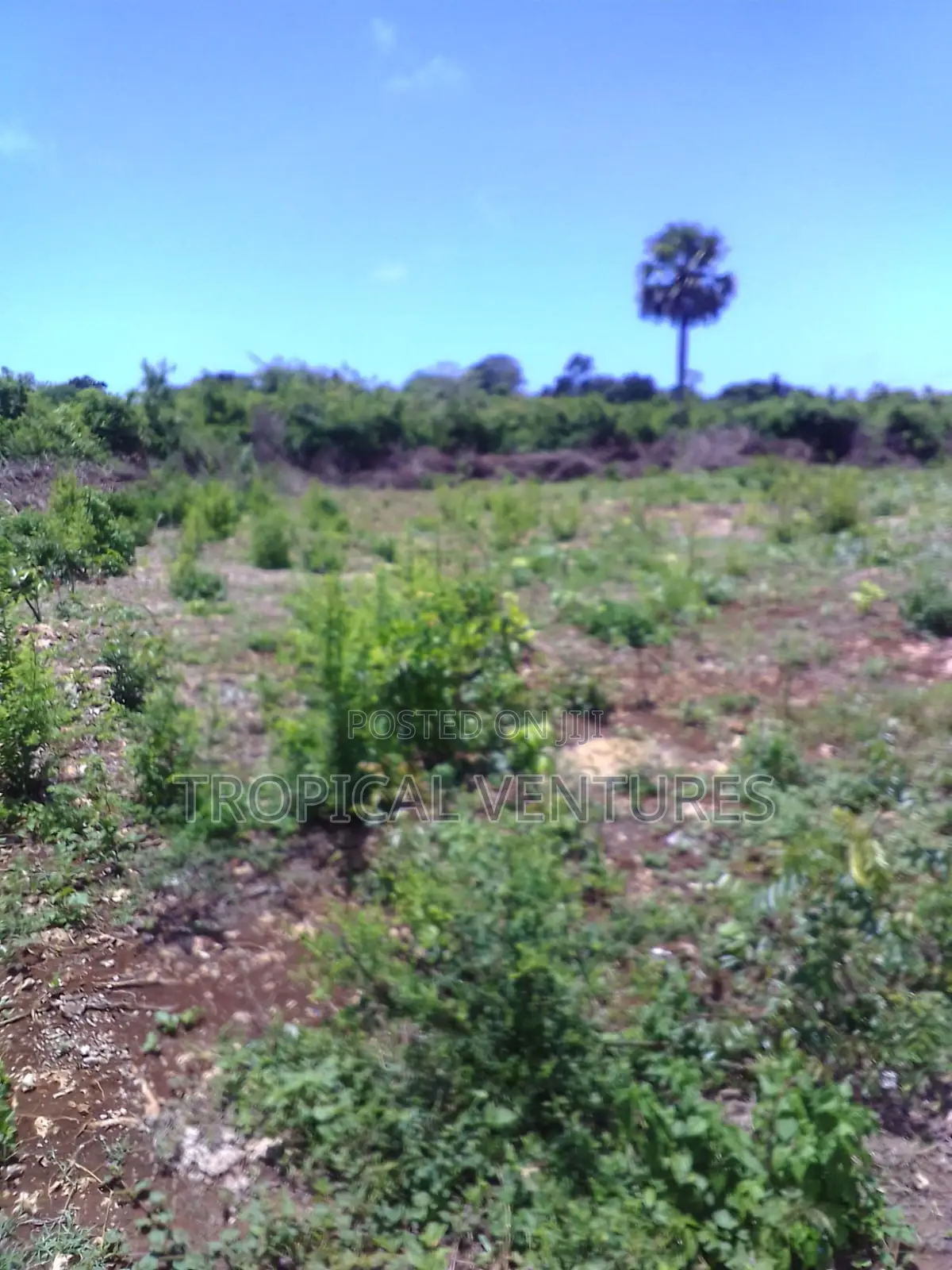 Beach Land for Sale Diani.