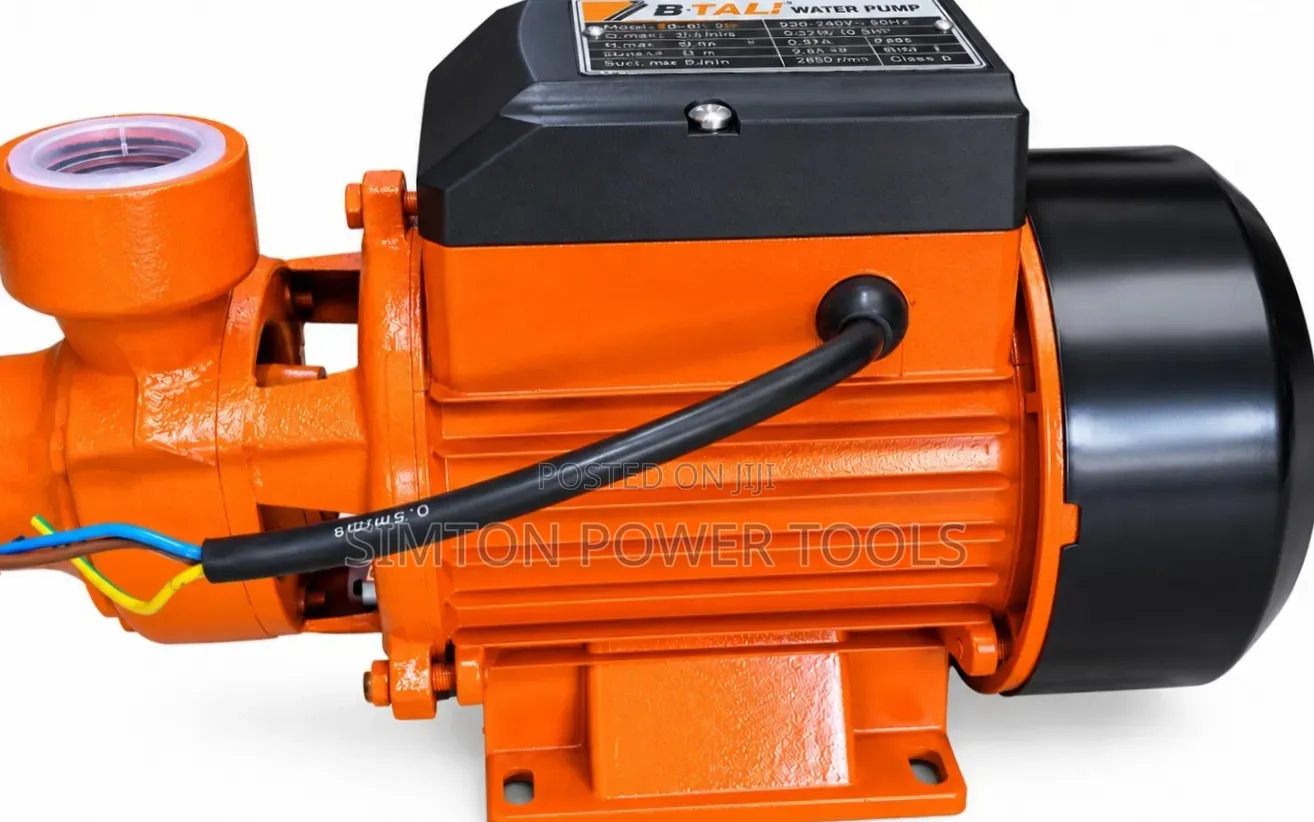 BTALI ID-60 Peripheral Water Pump