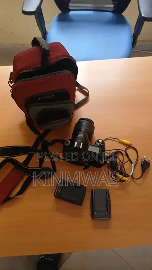 Nikon D50 Camera