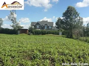 Prime 1/4 Acre Plot for Sale in Ngata, Nakuru