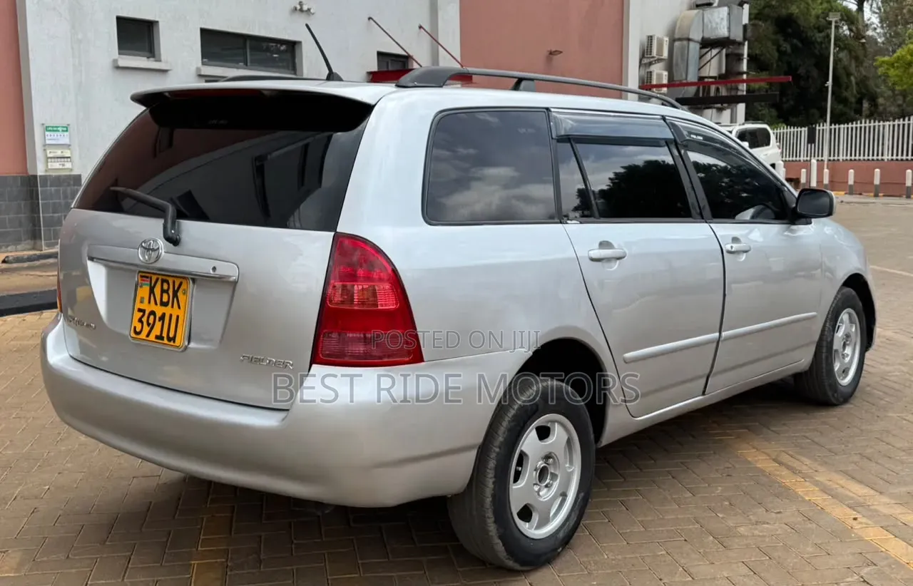 Toyota Corolla Fielder 2003 Silver