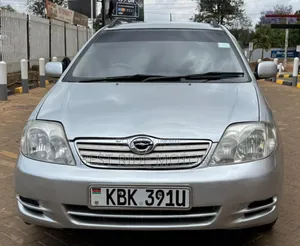 Toyota Corolla Fielder 2003 Silver