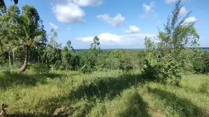 Rare 3-Acre in an Upscale Neighborhood