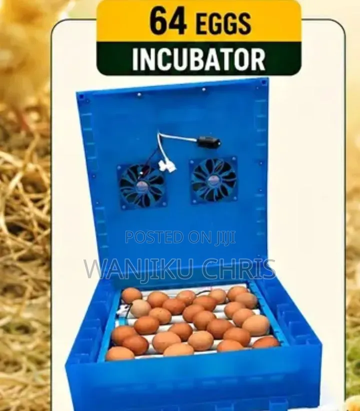 Fully Automatic 64 Eggs Incubator