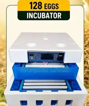 128Eggs Automatic Incubator With Both AC and DC