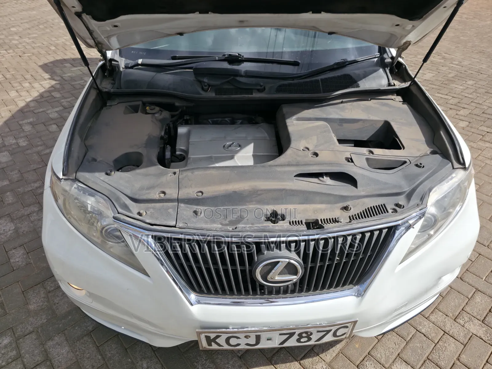 Lexus RX 2009 White