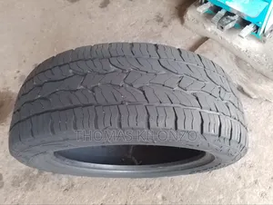 225/55r18 Dunlop Exjapan Tyres