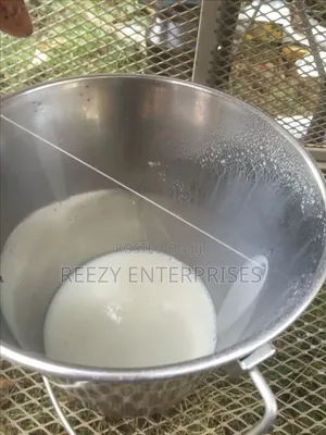 Goats Milk