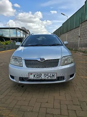 Toyota Corolla Fielder 2005 Silver