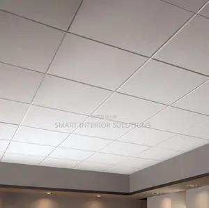 Acoustic Ceiling Panels for Public Halls