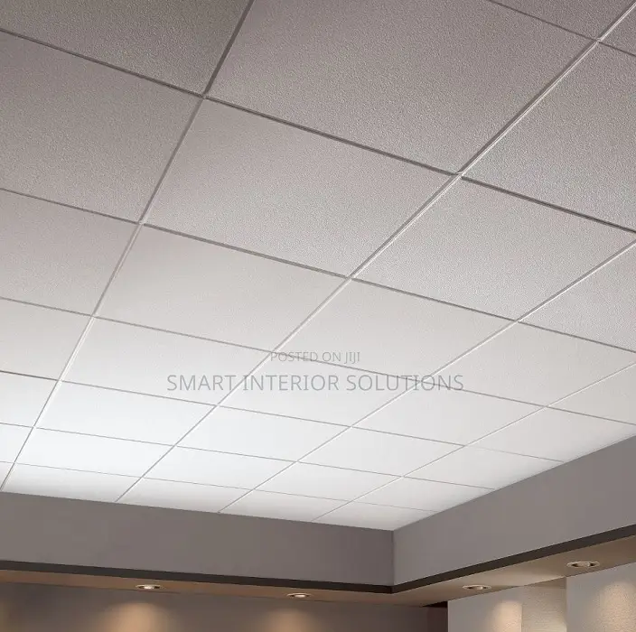 Acoustic Ceiling Panels for Public Halls