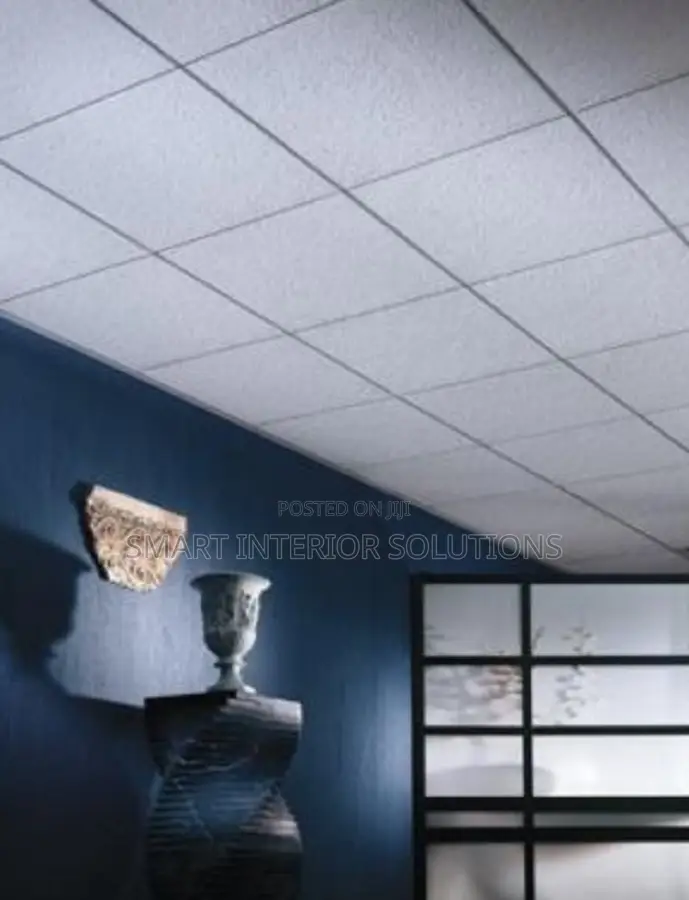 Acoustic Ceiling Panels for Public Halls