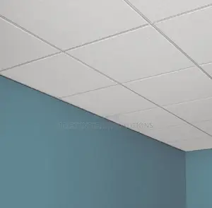 Ceiling Panels for Sound Control