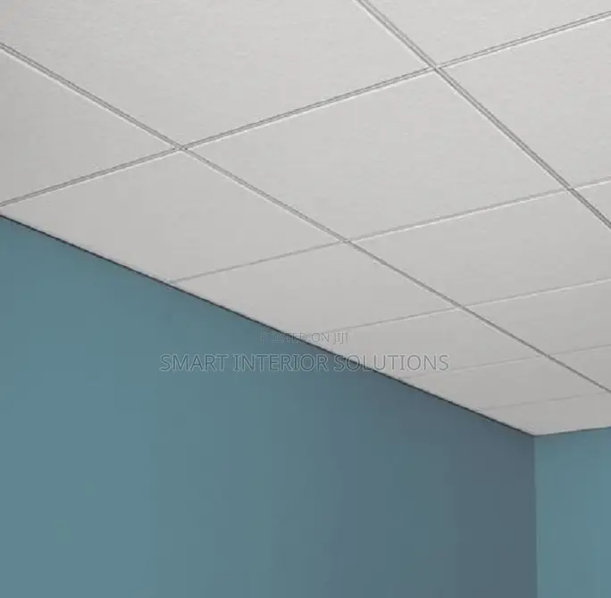 Ceiling Panels for Sound Control