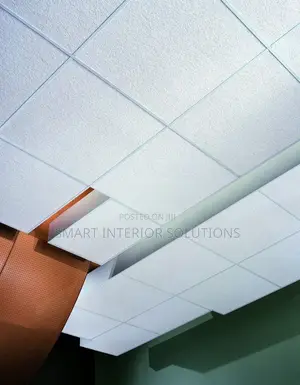 Ceiling Panels for Sound Control