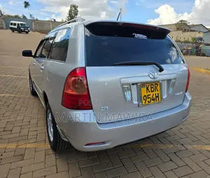 Toyota Corolla Fielder 2005 Silver