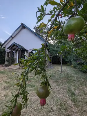1bdrm Bungalow in Karen,Near for rent