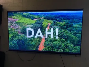55 Inch Smart TV
